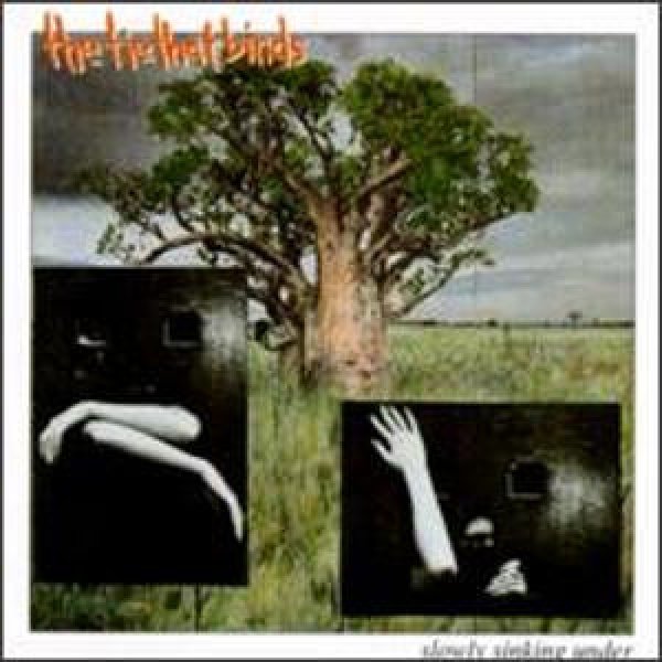 Slowly Sinking Under cover art